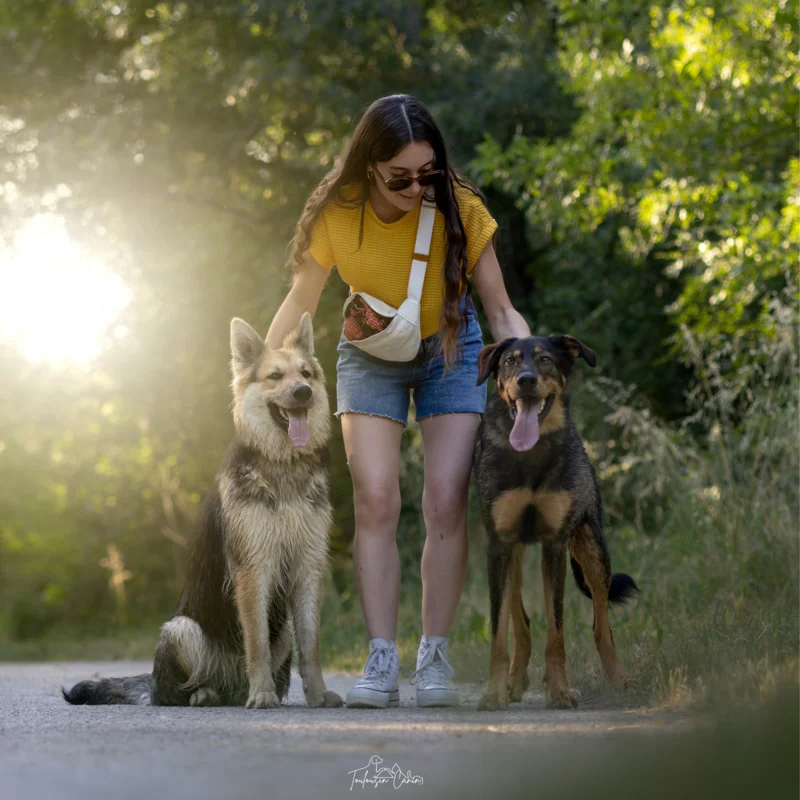 Manon en balade éducative avec deux chiens au soleil couchant, près de Carcassonne